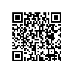 RNCF2512DTE2M32 QRCode