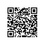 RNCF2512DTE38R3 QRCode