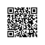 RNCF2512DTE9K53 QRCode