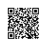 RNCP0402FTD4R99 QRCode