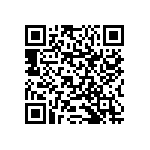 RNCS1206BKE13K7 QRCode