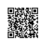 RNCS1206BKE4K53 QRCode