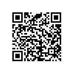 RNR55H1002FRB14 QRCode