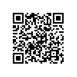 RNR55H4122FSBSL QRCode