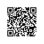 RNR55K2873FSBSL QRCode