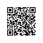 RNR60H3831FSRSL QRCode