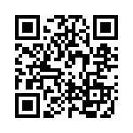 RP411024 QRCode