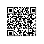 RPE5C2A6R2C2P1B03B QRCode