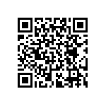 RT0402BRD073K24L QRCode