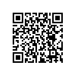 RT0402FRD0713K3L QRCode