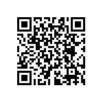 RT0603BRB07316RL QRCode