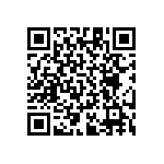 RT1206BRB07294RL QRCode