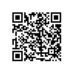 RT1206BRB07402KL QRCode