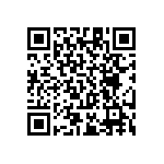 RT1206BRC07100KL QRCode