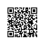 RT1206BRC0712R1L QRCode