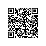 RT1206BRC0717R8L QRCode