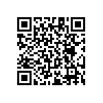 RT1206BRC0718R7L QRCode