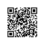 RT1206BRC07294KL QRCode