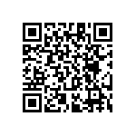 RT1206BRC073K01L QRCode