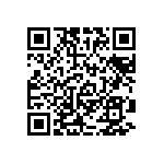 RT1206BRC073K16L QRCode