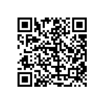 RT1206BRC074K02L QRCode