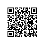 RT1206BRC07787RL QRCode