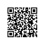 RT1206BRC07976KL QRCode