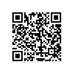 RT1206BRE07294RL QRCode