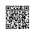 RT1206BRE07309RL QRCode