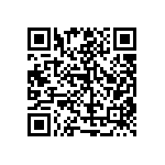 RT1206BRE07402KL QRCode