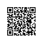 RT1206BRE07402RL QRCode