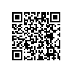 RT1206CRB0711K8L QRCode