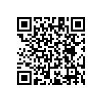 RT1206CRB071K24L QRCode