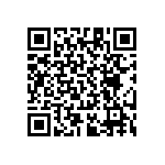 RT1206CRB07300KL QRCode