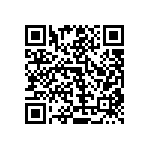 RT1206CRB07332RL QRCode