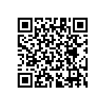 RT1206CRB07348RL QRCode