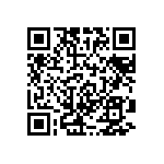 RT1206CRB076K49L QRCode