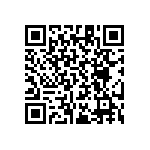 RT1206CRB0793K1L QRCode