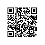 RT1206CRB07953RL QRCode