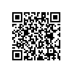 RT1206CRC07953KL QRCode