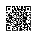 RT1206CRE0713R7L QRCode