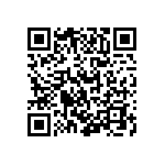 RT1206DRD0713KL QRCode