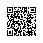 RT1206DRD0722K1L QRCode