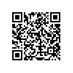 RT1206DRD0724R9L QRCode