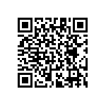 RT1206DRD073K24L QRCode