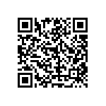 RT1206DRD07536RL QRCode