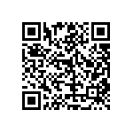RT1206DRD076K81L QRCode
