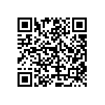 RT1206DRD078K87L QRCode
