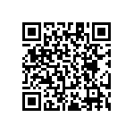 RT1206DRD0795R3L QRCode