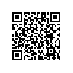 RT1206DRE07309RL QRCode